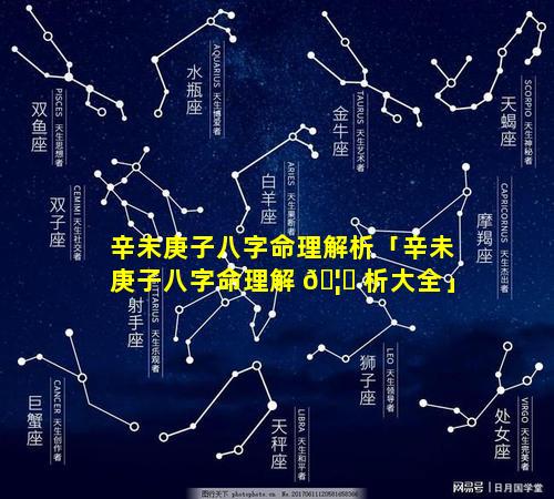 辛未庚子八字命理解析「辛未庚子八字命理解 🦆 析大全」